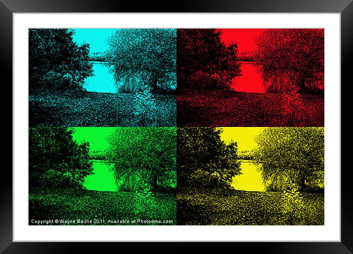 Colour Trees Framed Mounted Print by Wayne Baillie