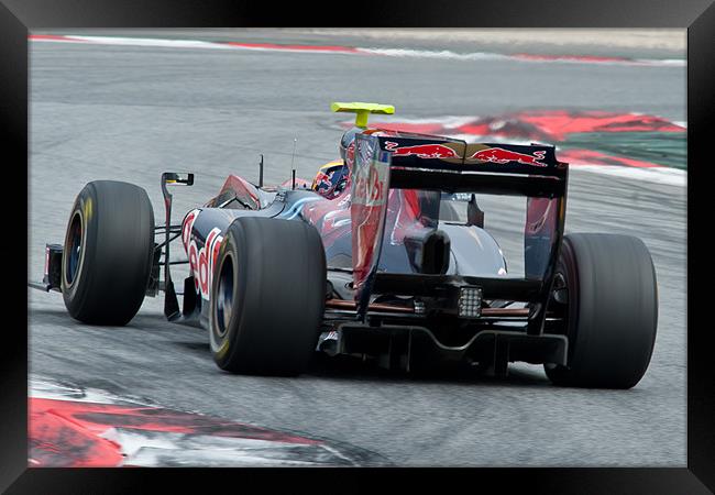 Jamie Alguersuari - Toro Rosso Framed Print by SEAN RAMSELL