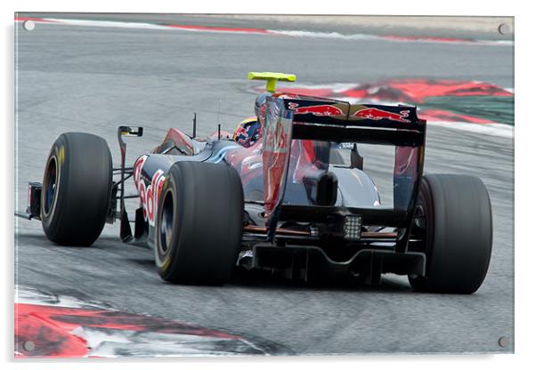 Jamie Alguersuari - Toro Rosso Acrylic by SEAN RAMSELL