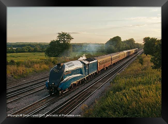 The Dorset Coast Express Framed Print by Steve Liptrot