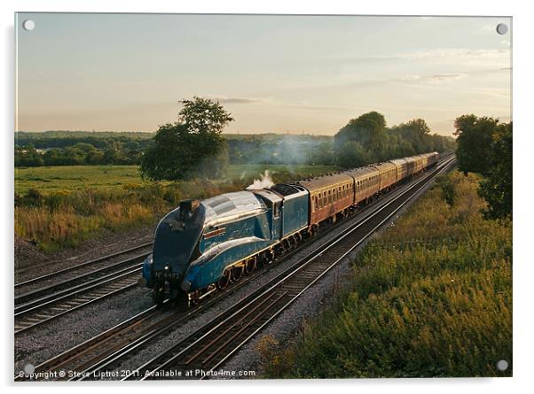 The Dorset Coast Express Acrylic by Steve Liptrot