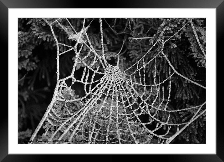 beaded web Framed Mounted Print by kirstin price