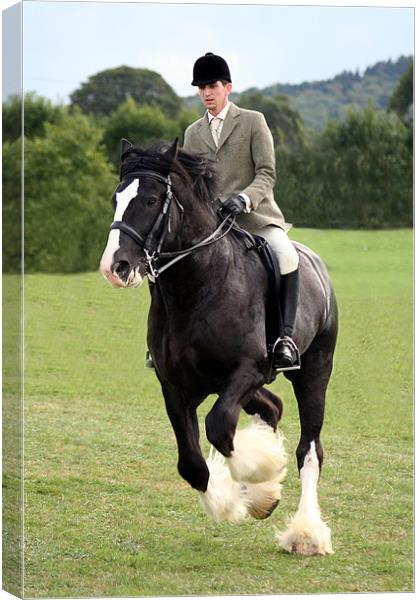 Shire Horse doing Dressage Canvas Print by Christopher Grant