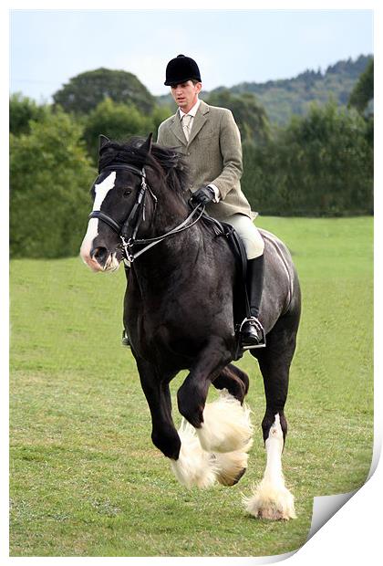 Shire Horse doing Dressage Print by Christopher Grant