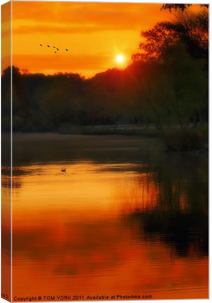 SOLITARY SANCTUARY Canvas Print by Tom York