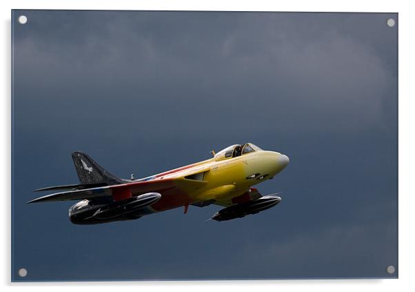 Miss Demeanour - Hawker Hunter In Flight Acrylic by Alastair Gentles