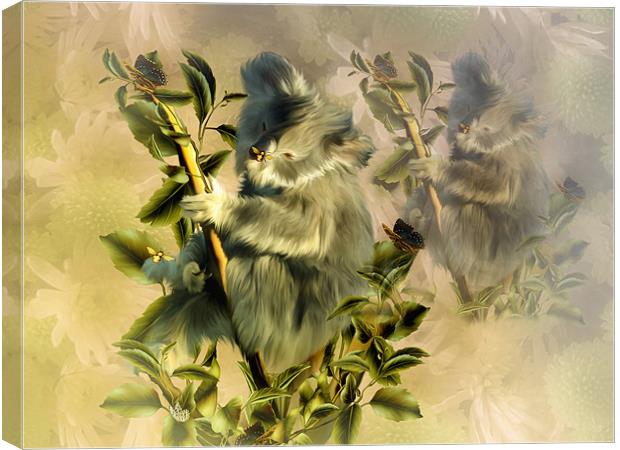 Cuddly Koala Canvas Print by Elaine Manley