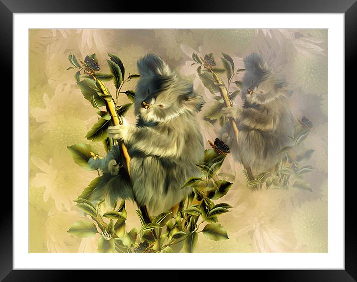 Cuddly Koala Framed Mounted Print by Elaine Manley