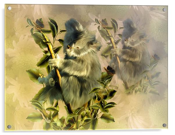 Cuddly Koala Acrylic by Elaine Manley