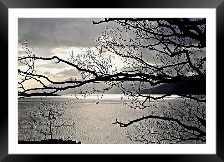 Winter Sunlight on Loch Carron Framed Mounted Print by Carol Kelly 