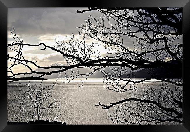 Winter Sunlight on Loch Carron Framed Print by Carol Kelly 
