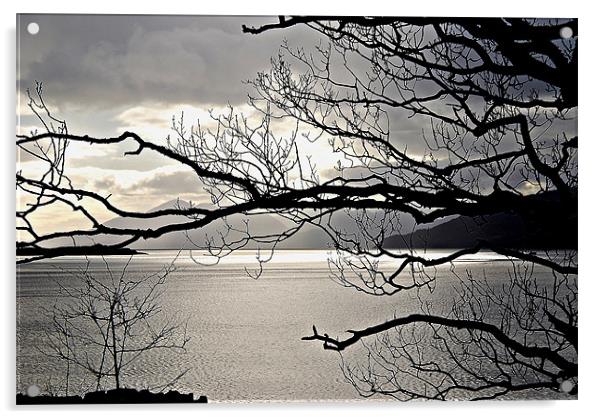 Winter Sunlight on Loch Carron Acrylic by Carol Kelly 