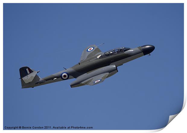 Gloster Meteor Print by Bernie Condon