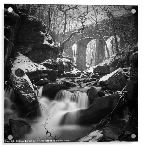 Fairie's Chapel, Healey Dell Acrylic by Steve Liptrot