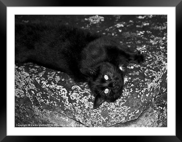 Stone Cat Framed Mounted Print by Karen Martin
