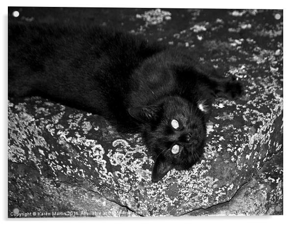 Stone Cat Acrylic by Karen Martin