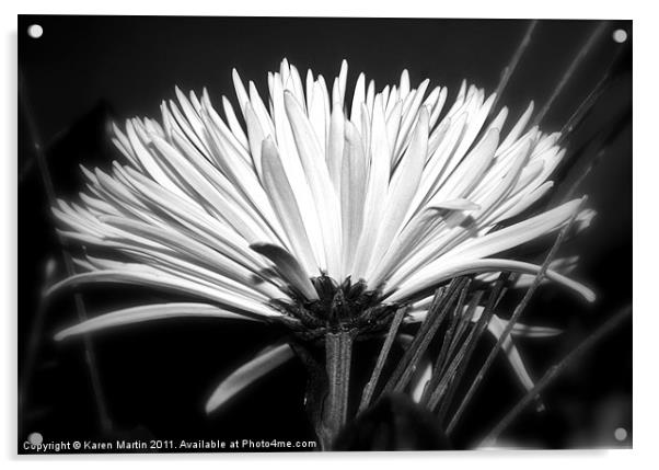 Spider Chrysanthemum Acrylic by Karen Martin