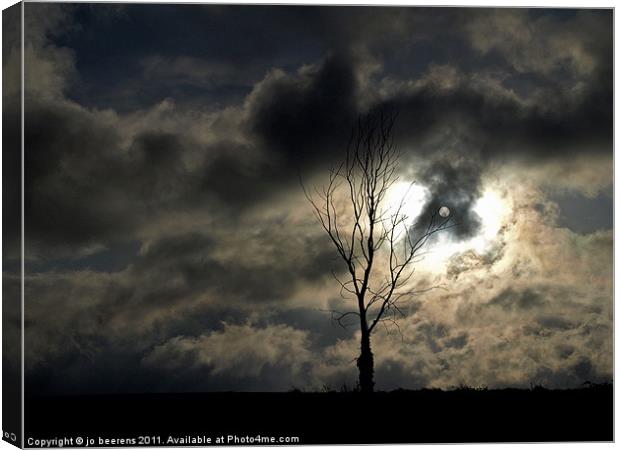 time for a lonely tree photo Canvas Print by Jo Beerens