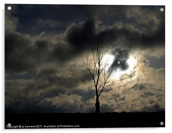 time for a lonely tree photo Acrylic by Jo Beerens