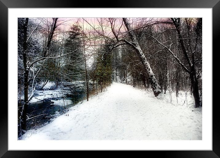 Snowy Trail Framed Mounted Print by Elaine Manley