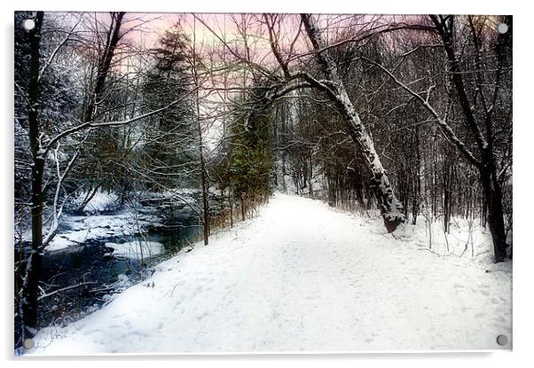 Snowy Trail Acrylic by Elaine Manley