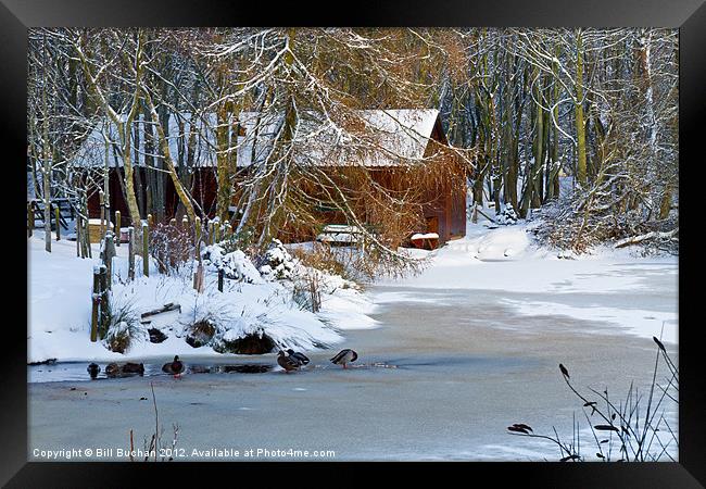 Strichen Winter Scene Framed Print by Bill Buchan