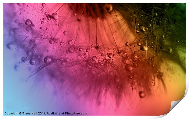 Clockwork Rainbow Dandelion Seed Print by Tracy Hall