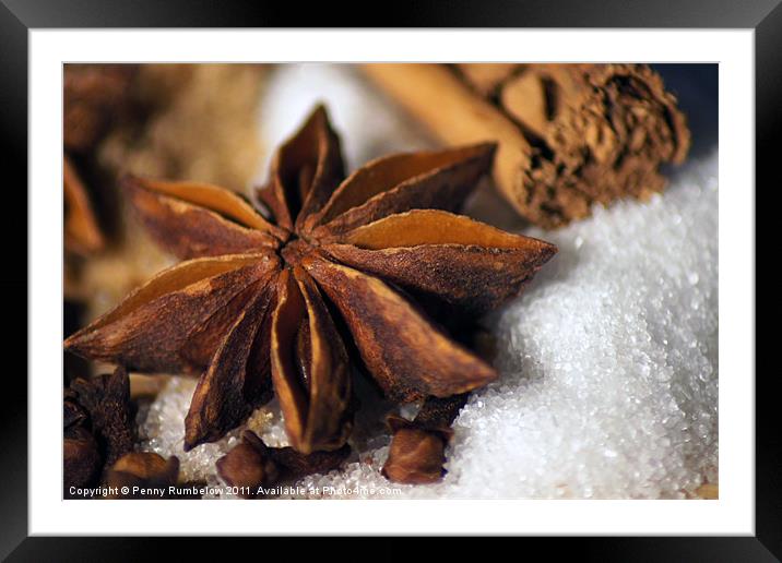 sugar and spice Framed Mounted Print by Elouera Photography