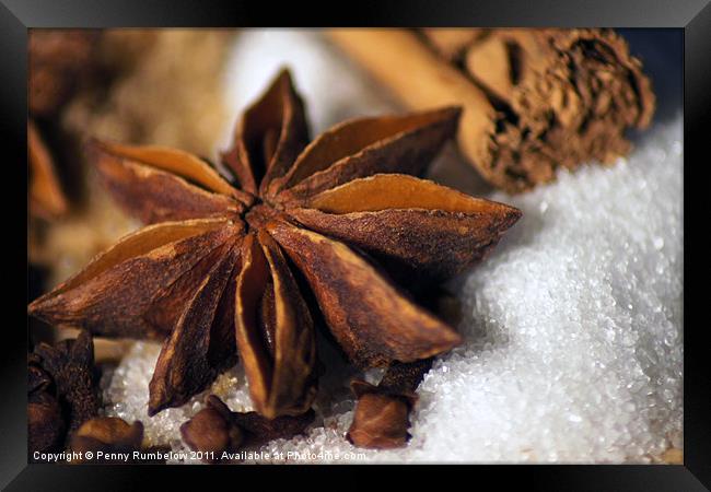 sugar and spice Framed Print by Elouera Photography