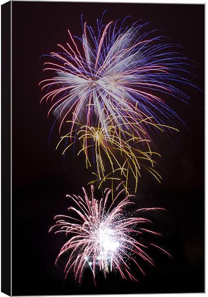 Fireworks 06 Canvas Print by Rick Parrott