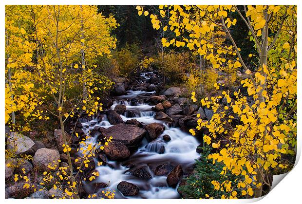 The River Of Gold Print by John De Bord