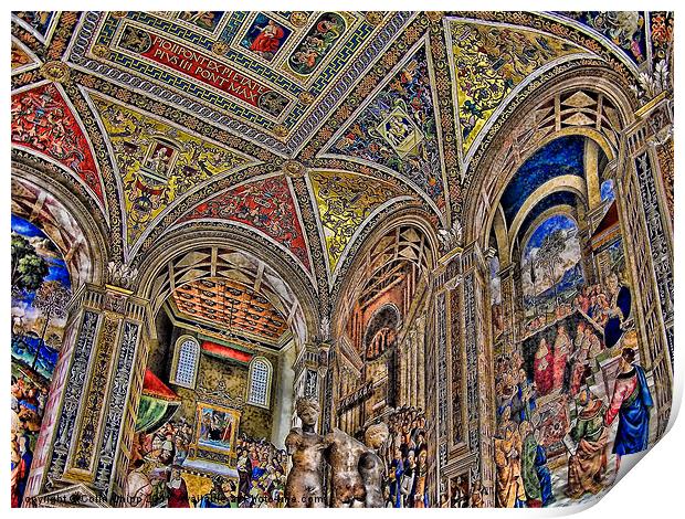 Siena Duomo Print by Colin Chipp