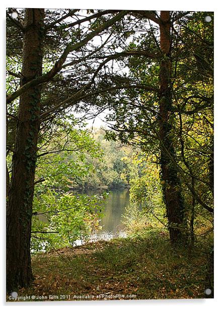 Riverside Clearing Acrylic by John Ellis