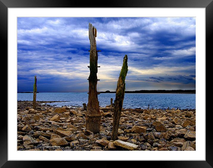 Waterfront Wreckage Framed Mounted Print by Daves Photography