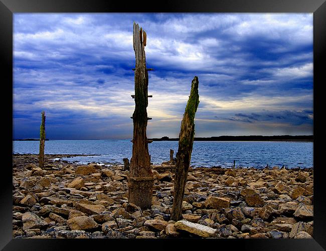 Waterfront Wreckage Framed Print by Daves Photography