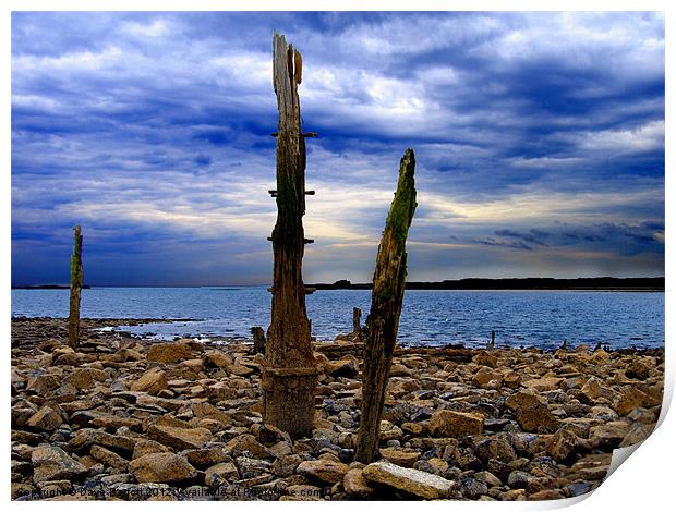 Waterfront Wreckage Print by Daves Photography