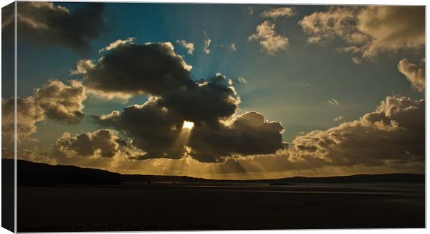 beach rays Canvas Print by Andrew Driver