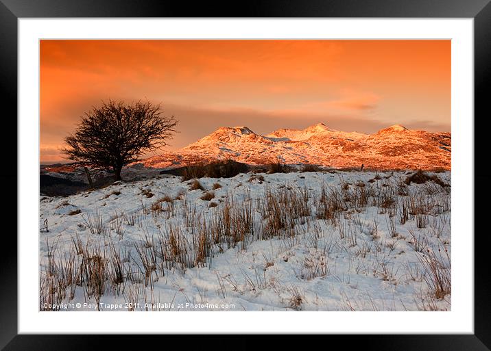 Moelwyn dawn Framed Mounted Print by Rory Trappe