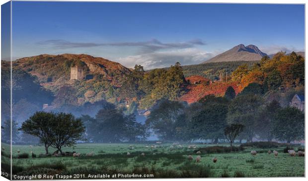 Dolwyddelan Canvas Print by Rory Trappe
