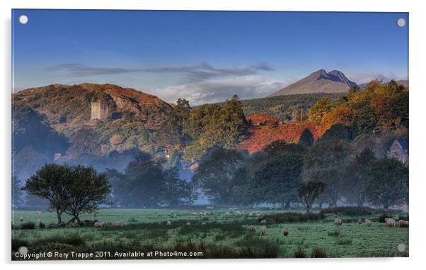 Dolwyddelan Acrylic by Rory Trappe