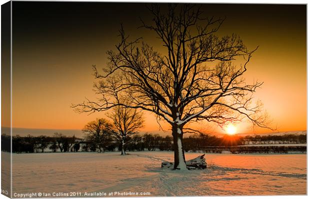 Winter Sunset Canvas Print by Ian Collins