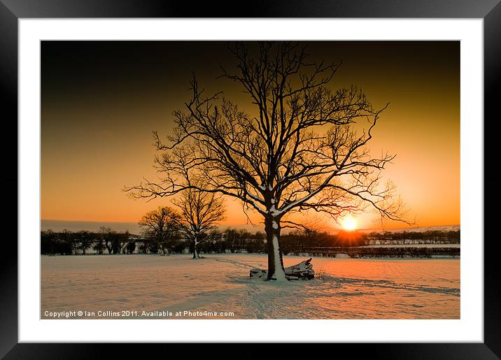 Winter Sunset Framed Mounted Print by Ian Collins
