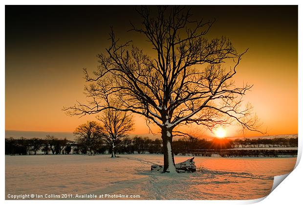 Winter Sunset Print by Ian Collins
