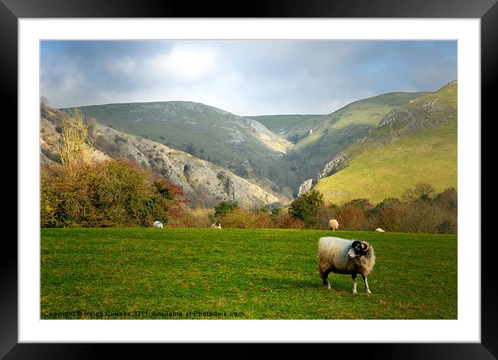 DOVEDALE Framed Mounted Print by Helen Cullens