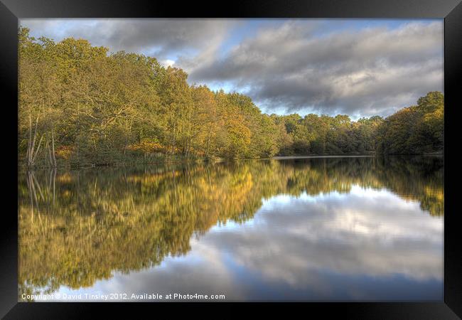Reflections Framed Print by David Tinsley