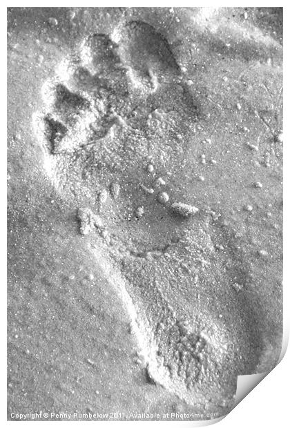 footprint in the sand Print by Elouera Photography