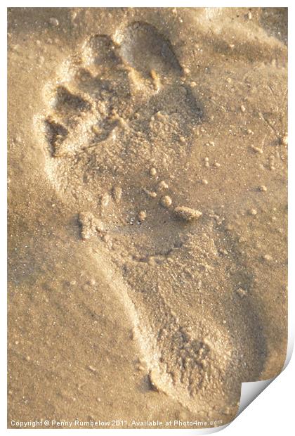 footprint in sand Print by Elouera Photography