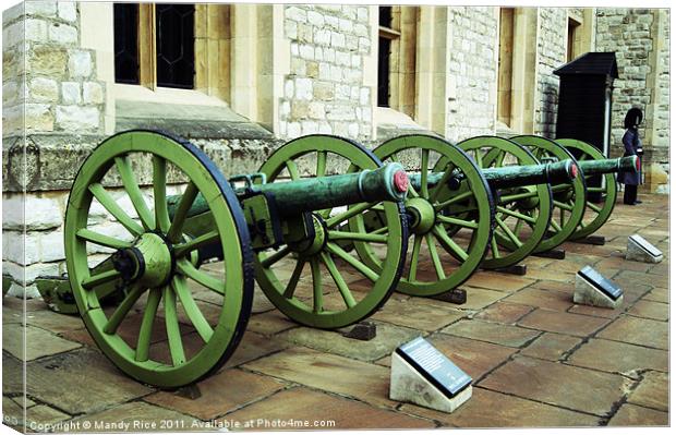 Cannons outside The Jewel House Canvas Print by Mandy Rice
