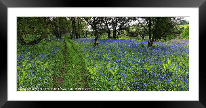 Beulah Bluebell wood Framed Mounted Print by Creative Photography Wales
