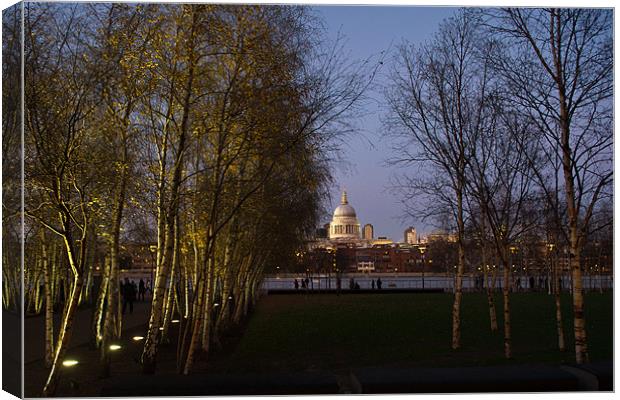 St Paul's with silver birches Canvas Print by Gary Eason